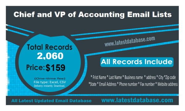 Chief and VP of Accounting Business Email Databases