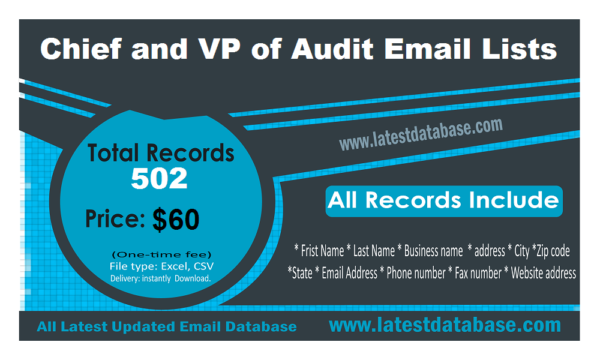 Chief and VP of Audit Business Email Databases