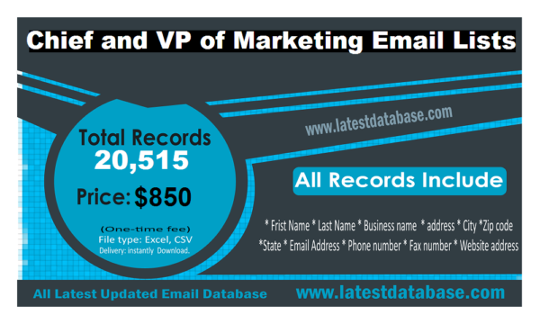 Chief and VP of Marketing Business Email Databases