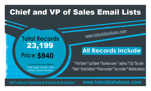 Chief and VP of Sales Business Email Databases