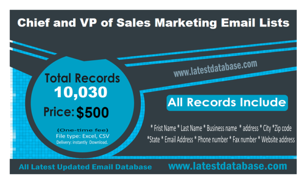 Chief and VP of Sales Marketing Business Email Databases